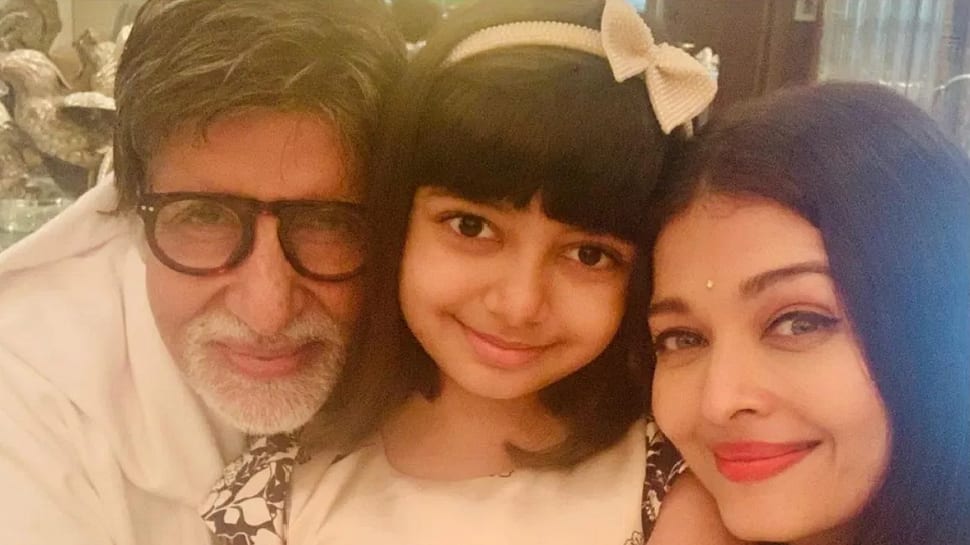 Amitabh Bachchan&#039;s Granddaughter Aaradhya Moves Delhi High Court Over Fake News On Her Health