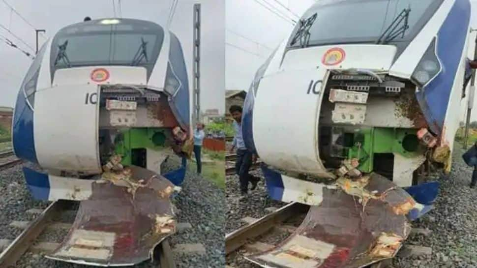 Vande Bharat Express Hits Cattle, Cow Falls On Man Peeing On Tracks; Both Dead