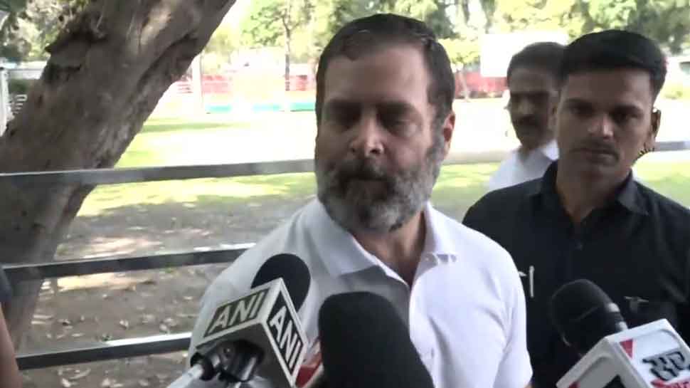 Modi Surname Row: Gujarat High Court Refuses To Grant Interim Relief To Rahul Gandhi In Defamation Case