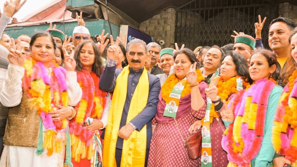 Shimla MC Election 2023: Congress Gets Clear Majority Winning 24 Seats, Defeats BJP