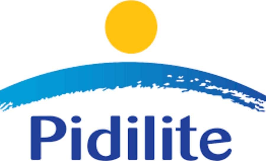 India&#039;s Pidilite Posts Rise In Q4 Profit On Easing Costs, Strong Demand