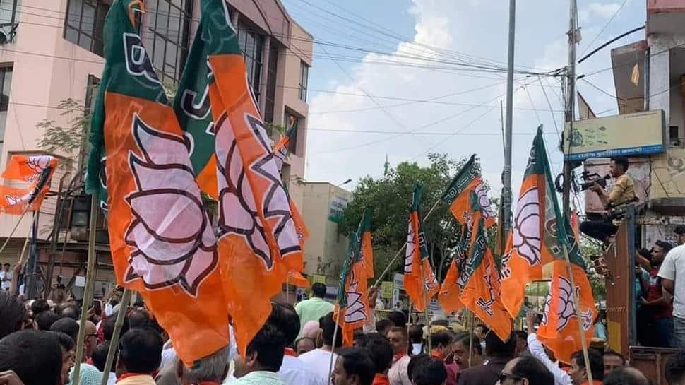 Karnataka Assembly Elections Result 2023- Check Full Candidate List Of BJP Winners