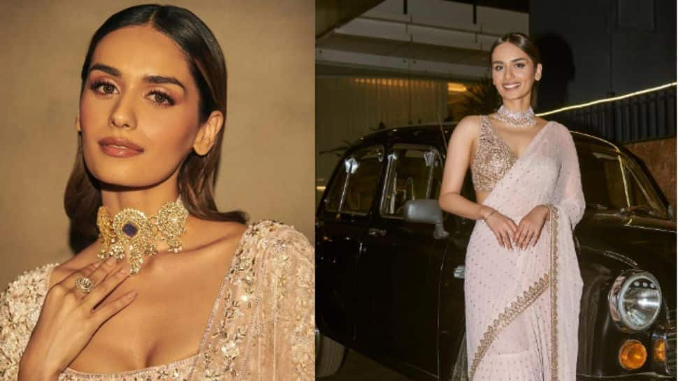 Happy Birthday Manushi Chhillar: Times Diva Stunned In Ethnic Outfits- See Pics