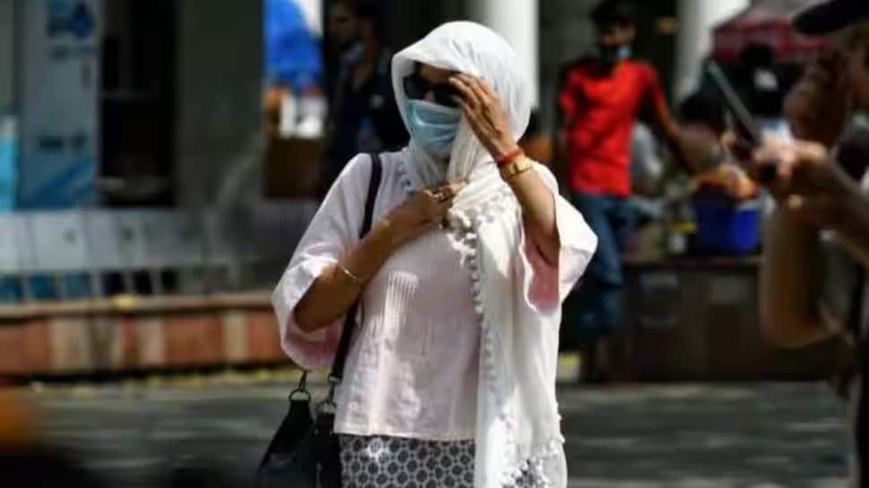 Maharashtra: Pregnant Woman Dies Of Sunstroke After Walking 7 Km In Scorching Heat