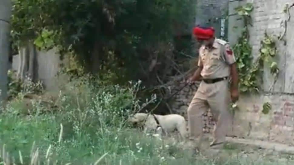 Paw-Dorable Moment For Punjab Police As Simmy, The Labrador, Beats Cancer And Returns To Duty