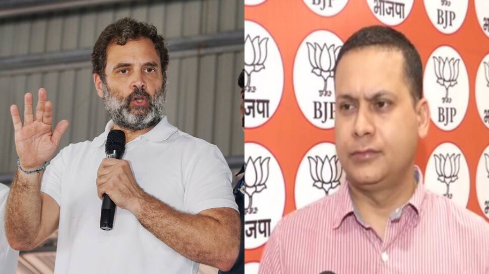 BJP Reacts To SC Expert-Panel Report On Adani, Says &#039;Rahul Gandhi&#039;s Speech Writers...&#039;