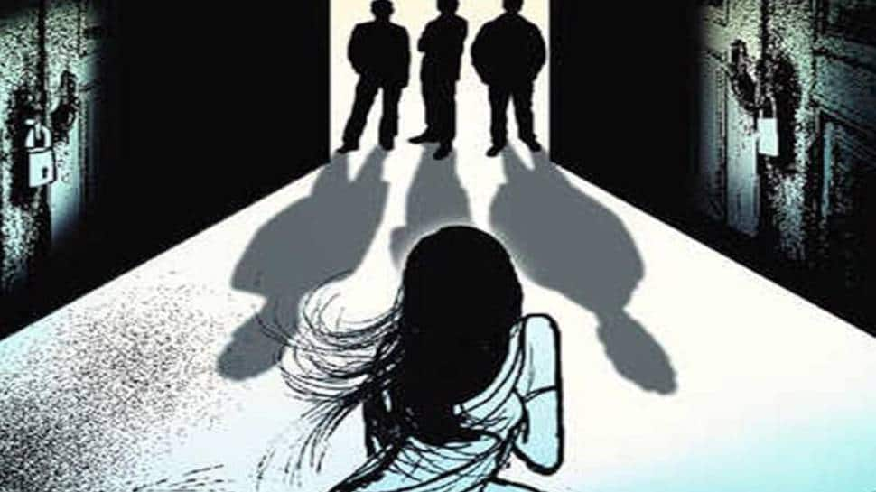 Maha Horror: Widow Raped By 7 Men For 8 Years, Beed Police Launch Probe