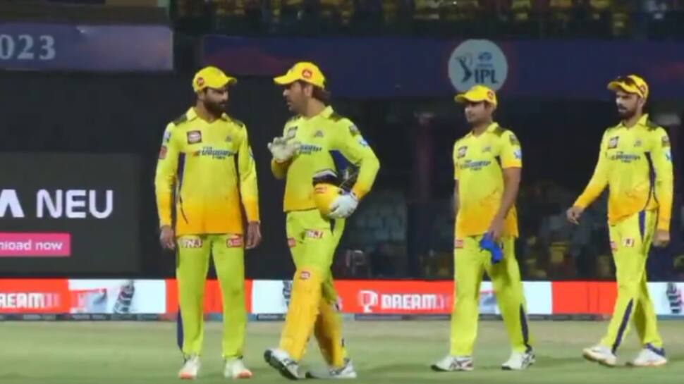 Watch: MS Dhoni, Ravindra Jadeja Engaged In Heated Chat After CSK Qualifies For Playoffs