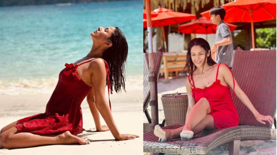 Shehnaaz sizzled in a red beach dress in a picture