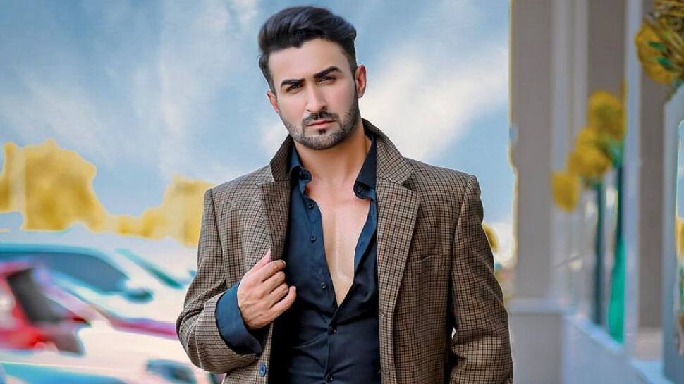 Roman Khan To Play A Prominent Role In Upcoming South Movie - Vimarsana News