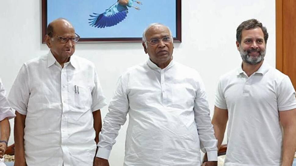 Amid Catch-22 Situation Over Opposition&#039;s PM Face, Sharad Pawar&#039;s Praise For Rahul Gandhi