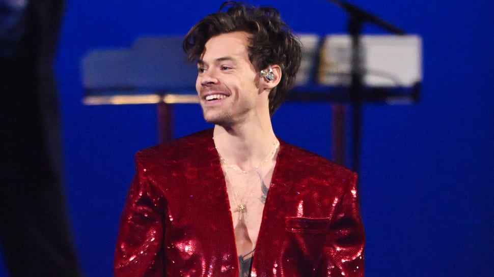 Harry Styles Stops Concert In The Middle To Make His Fan Dump Her Boyfriend