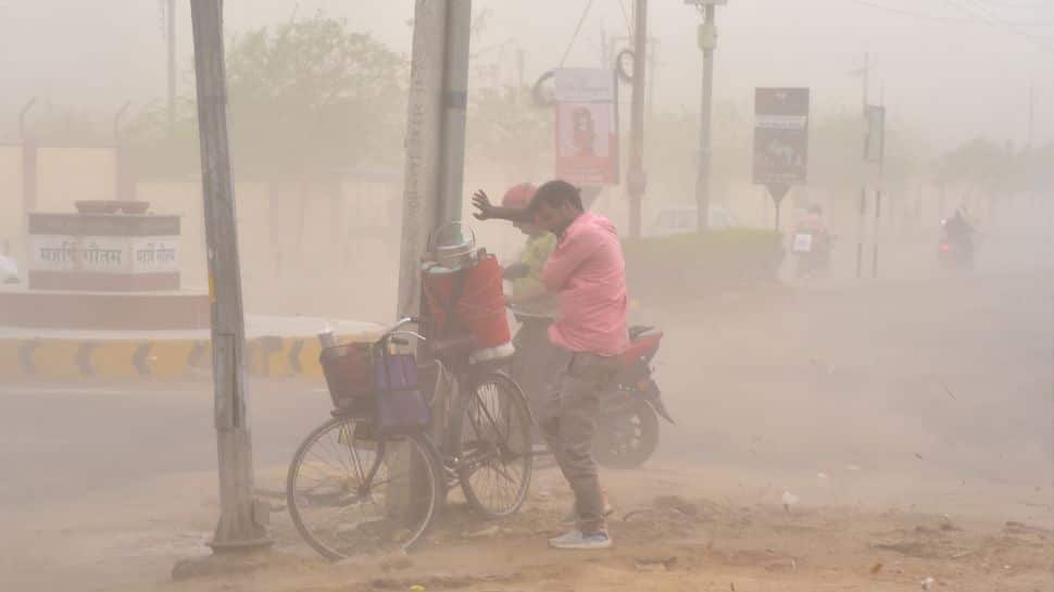 Sudden Dust Storms In Delhi: Expert Explains Ways To Stay Safe | health news