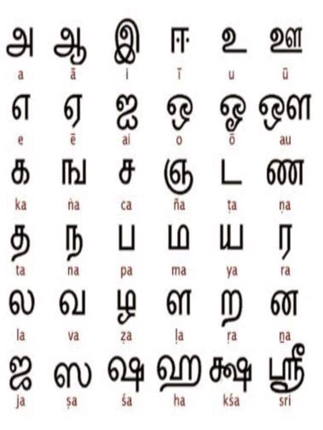 tamil-language-numbers