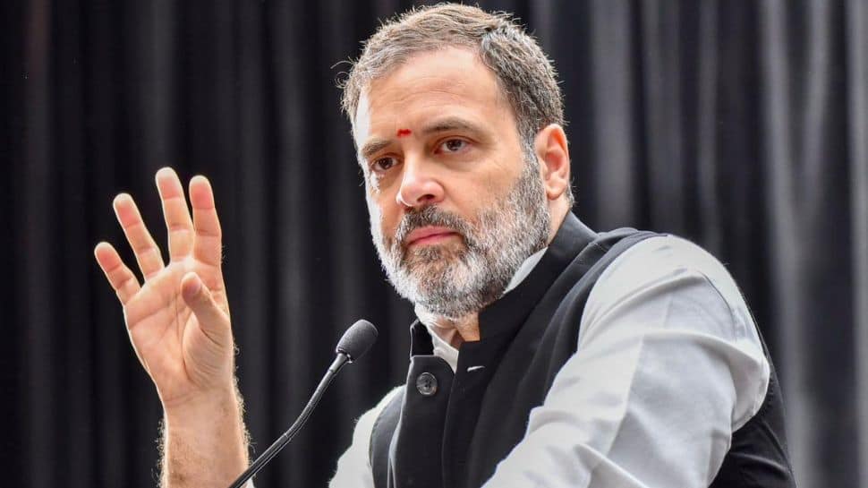 At &#039;Mohabbat Ki Dukaan&#039; Event In US, Rahul Slams Centre For Trying To Stop &#039;Bharat Jodo Yatra&#039;