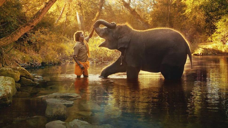 Goa Environmental Film Festival To Open With Oscar-Winner &#039;The Elephant Whisperers&#039;