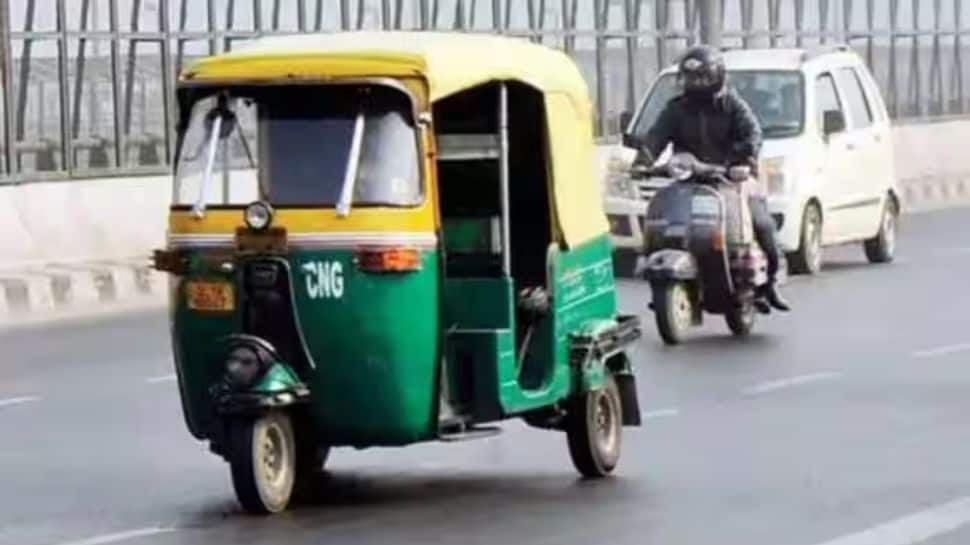 Licence Applicants In Delhi Driving Auto Rickshaw Instead Of Cars To Pass Test