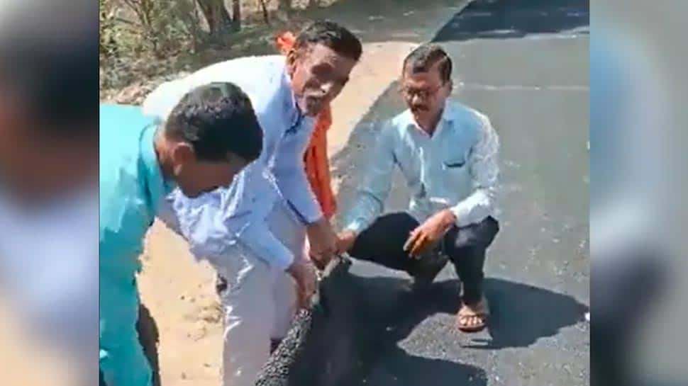 Maharashtra Villagers Lift ‘Carpet Road’ With Bare Hands To Expose Shoddy Work
