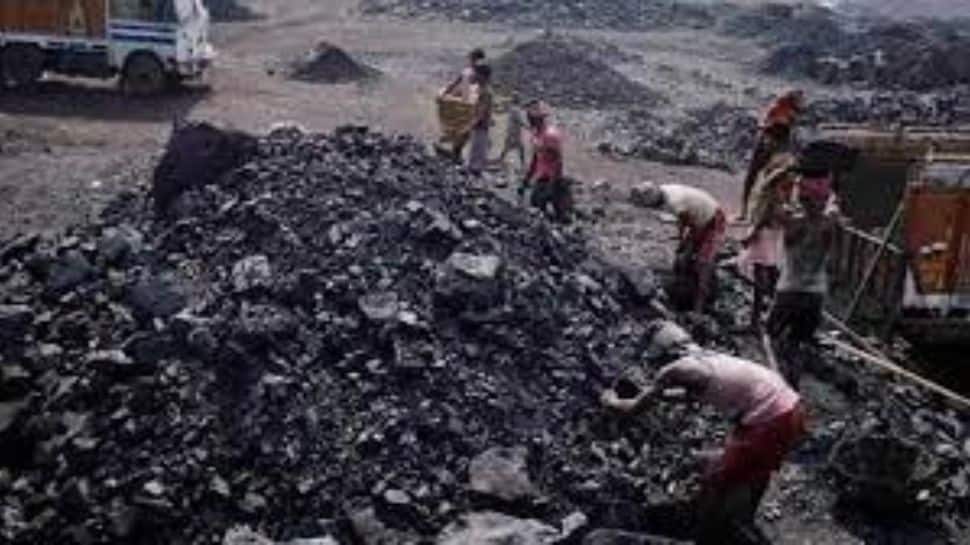 Govt Permits Import Of Pet Coke As Raw Material For Lithium-Ion Batteries - Vimarsana News