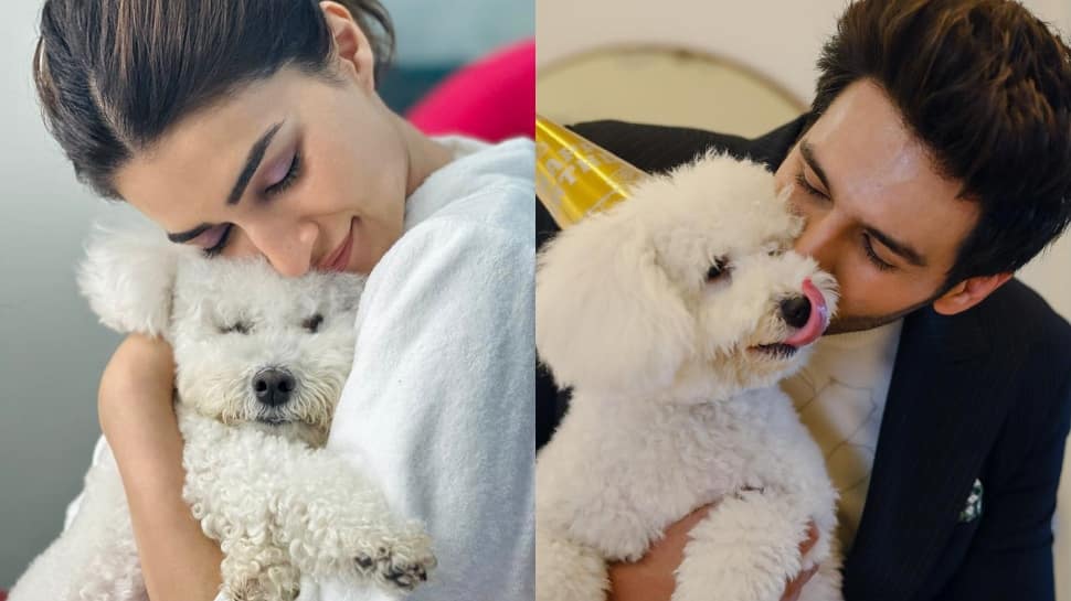 Kriti Sanon Cuddles With Her Puppy Disco, Fans Tease Her For Kartik Aaryan&#039;s Pet Katori