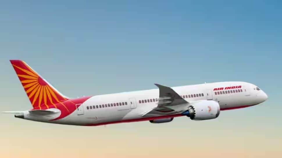 Air India Delhi-San Francisco Flight Diverted To Russia Due To Technical Snag