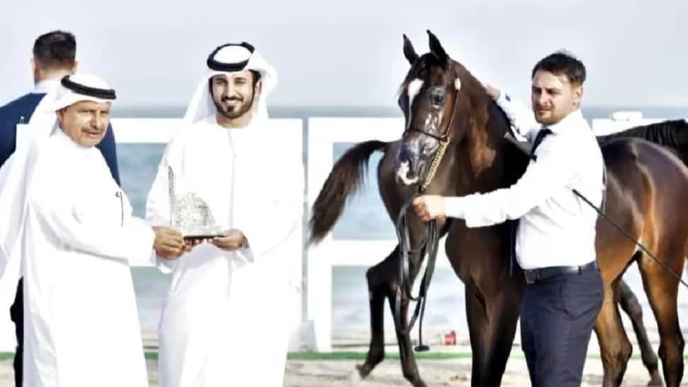 Meet Mohamed Bin Saeed: Saudi Businessman Known For His Love For Horses