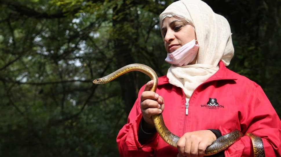 Learn About Aaliya Mir, A Former Delhi Maths Instructor Who Is Now A &quot;Symbol Of Hope&quot; For Wildlife In Kashmir