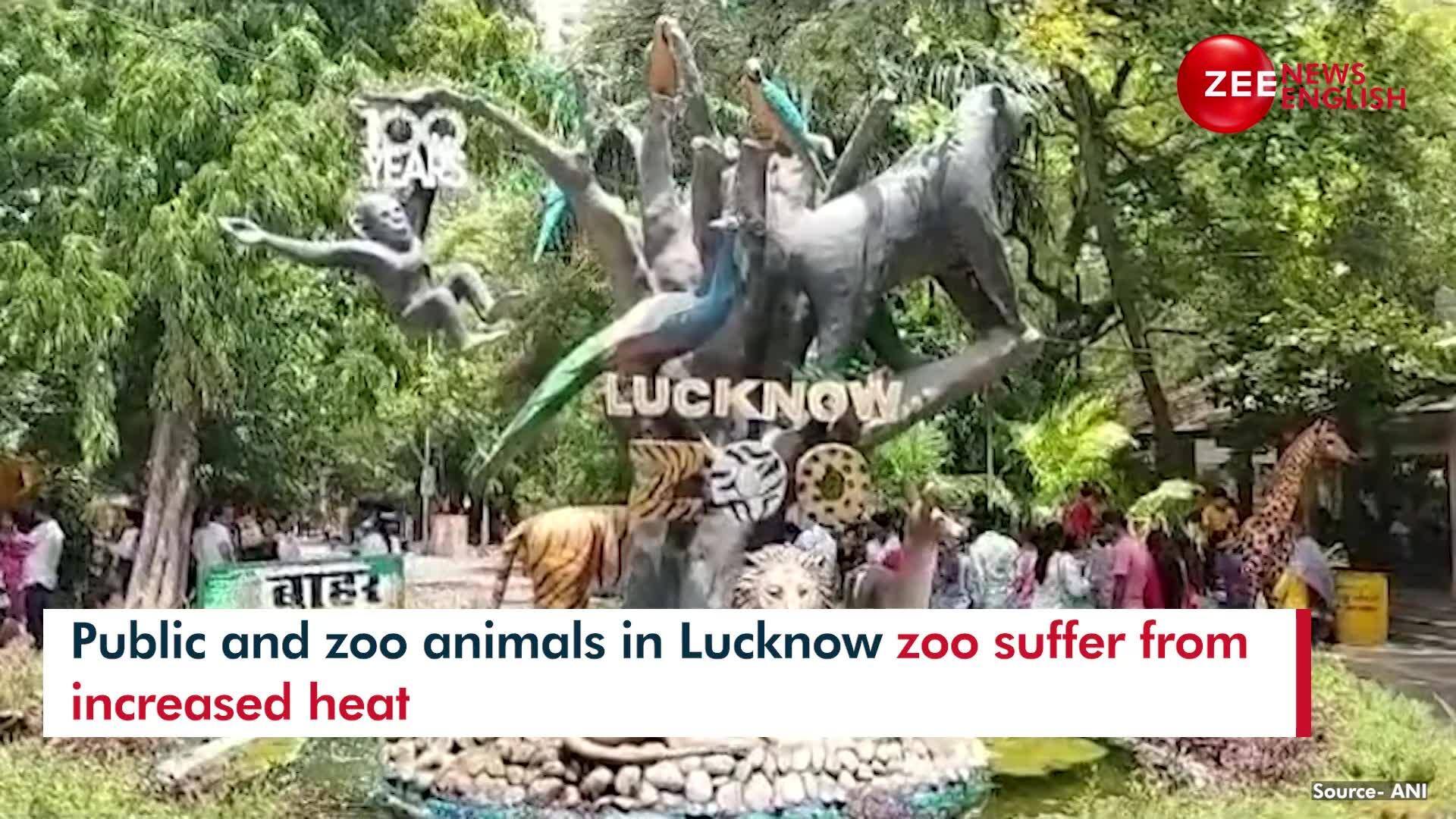 Rising Heat Affected Public And Zoo Animals In Lucknow Zoo, Requiring