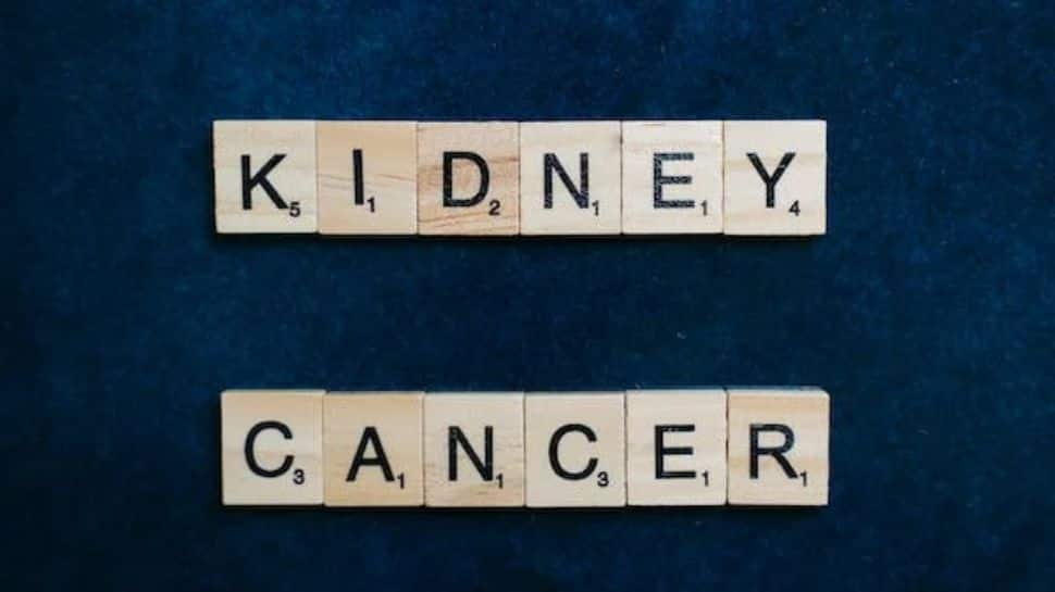 World Kidney Cancer Day 2023: 4 Early Symptoms To Watch Out For