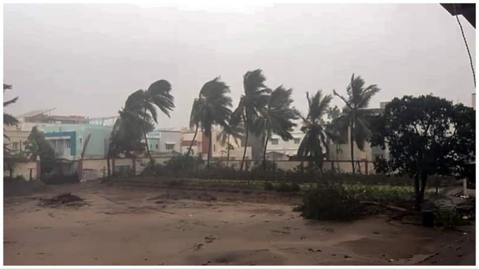 Gujarat: Amid Cyclone &#039;Biparjoy&#039;, Woman Delivers Baby In Mandvi Hospital After Rescue