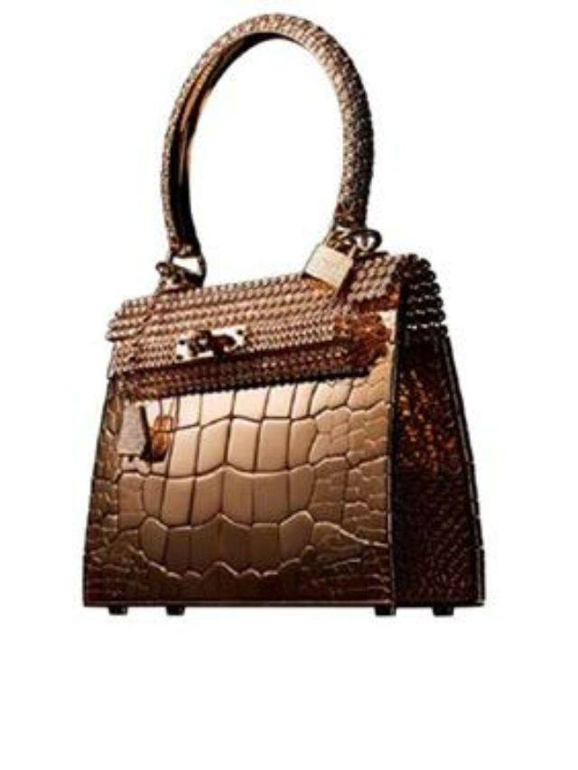 Top 10 Most Expensive Handbags of 2023: From Hermes to Mouawad 