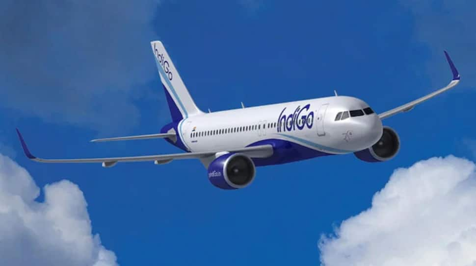 Indigo Places Order For 500 Planes With Airbus; Crosses Air India&#039;s Record