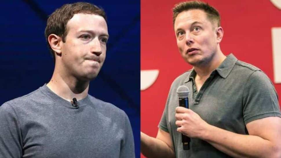 Elon Musk And Mark Zuckerberg Agree To Hold Cage Fight