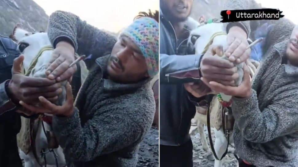 Watch: 2 Men Force Horse To Smoke Weed On Way To Kedarnath Temple In Viral Video, Police Reacts