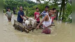Assam Flood Situation Remains Critical