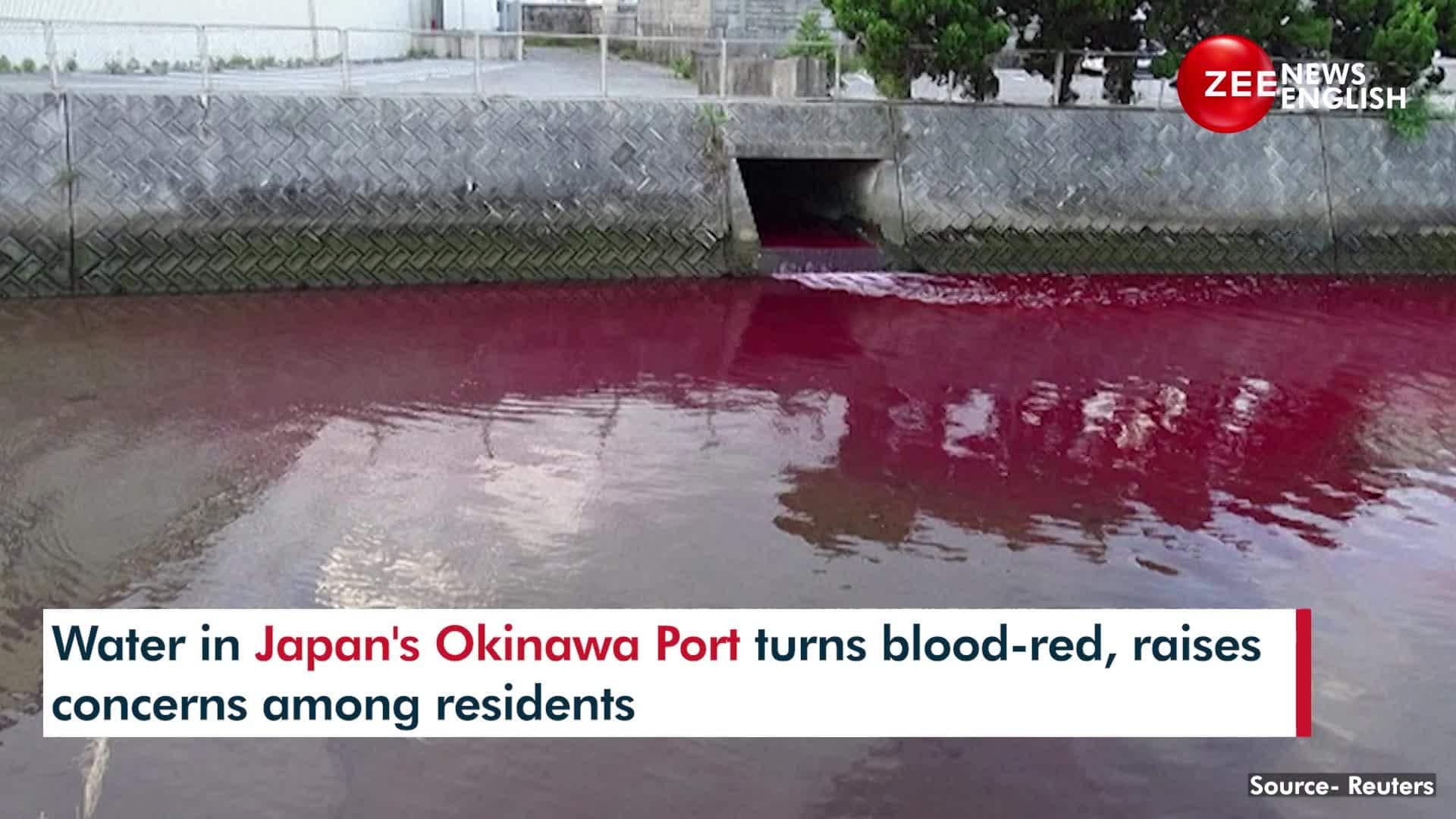 Japans Okinawa port awash in blood-red hue after beer factory leak