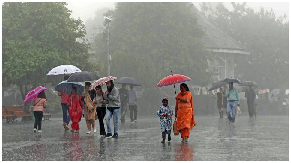 Weather Update: IMD Issues Red Alert For Kerala, Predicts Extremely Heavy Rainfall In Maharashtra, Karnataka, Check Full Forecast