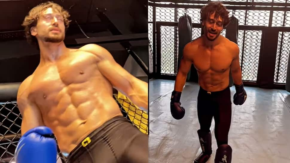 Tiger Shroff Drops Glimpse Of His Intense Boxing Workout - Watch