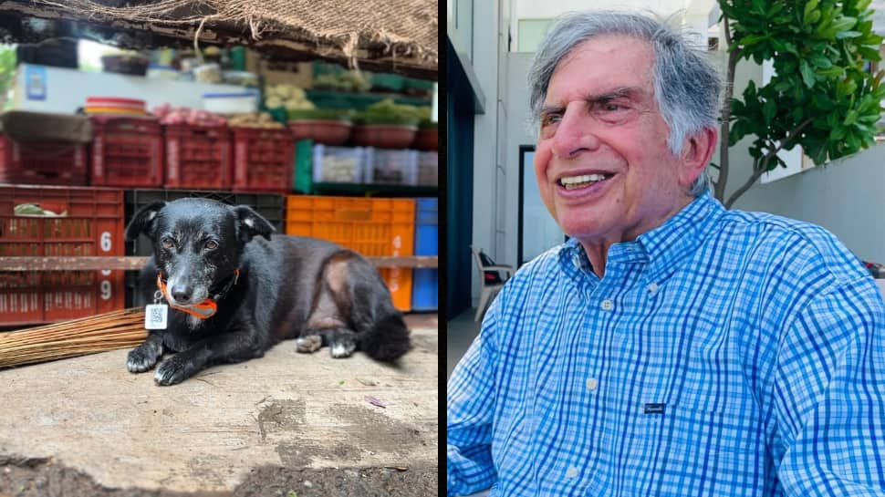 Ratan Tata Urges Caution Toward Stray Animals Taking Refuge Under Cars