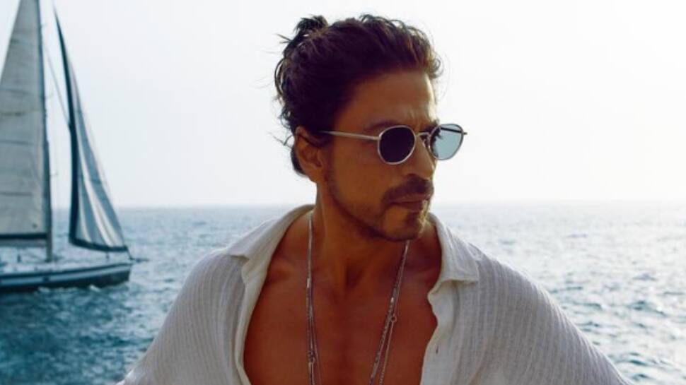 Will SRK Have A Cameo In Rocky Aur Rani Kii Prem Kahaani? Find Out