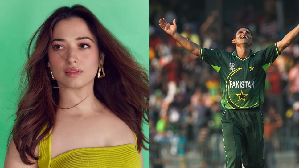 Fact Check: Was Tamannaah Bhatia Married To Pakistani Cricketer Abdul Razzaq?