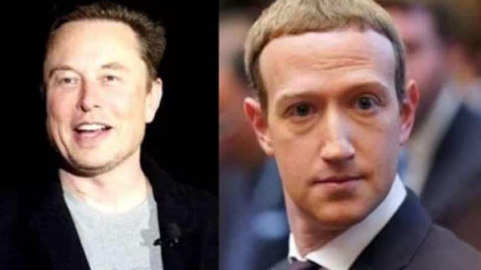 Zuckerberg-Musk Begin Online Battle Before Cage Fight