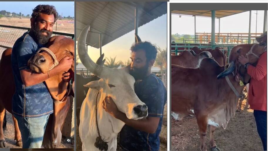 Dissatisfied With His Banking Job, This Man Turned Into A Farmer To Promote Organic Crops & Indigenous Breeds, Now Business Worth Crores