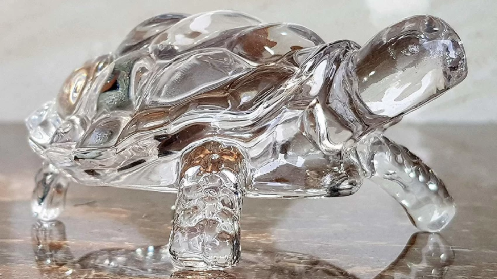 Vastu Tips: What Is The Right Direction For Crystal Tortoise To ...