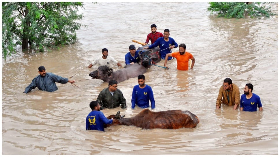 Patiala Submerged In Water Amid Heavy Rainfall