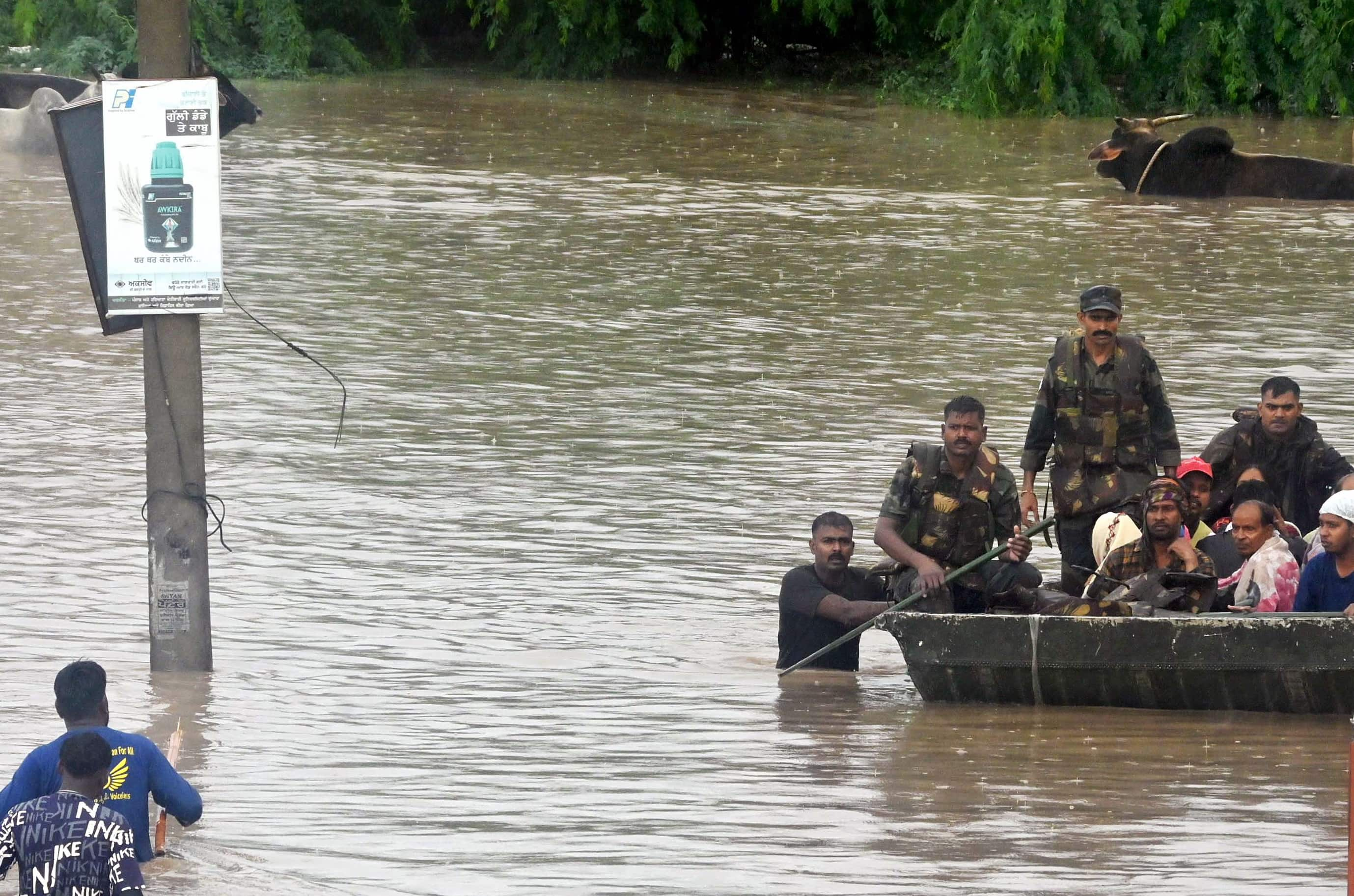 Army Personnel Rescue People In Patiala 