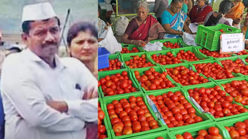 &#039;Crorepati Tamatarwala&#039;: Pune Farmer Earns Rs 2.8 Cr Selling Tomatoes In A Month