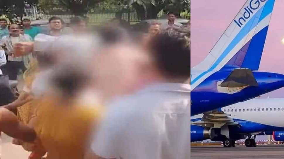 IndiGo Derosters Woman Pilot After Video Of Mob Beating Her In Delhi Goes Viral