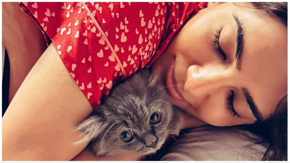 Samantha Ruth Prabhu Welcomes New Furry Friend &#039;Gelato&#039; 