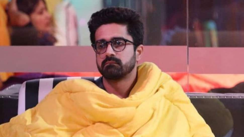 Bigg Boss OTT 2 Day 33: Avinash Sachdev Wins Secret Task, Stops Elvish Yadav From Becoming Captain